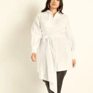 NEVER WORN Eloquii Dramatic Wrap Dress